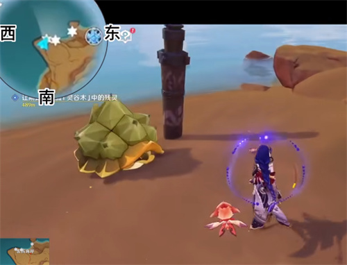 原神玳龟在哪