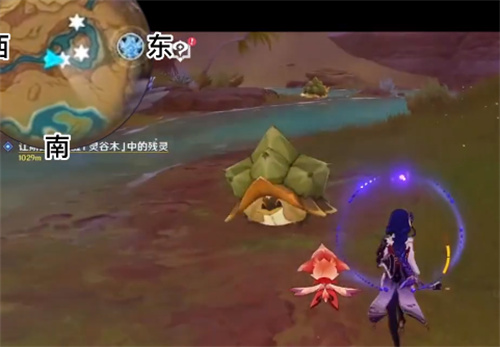 原神玳龟在哪