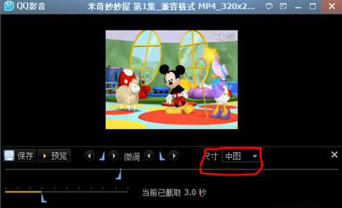 选择截取的“尺寸”大小
