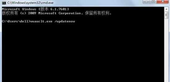 Windows10在cmd中输入wuauclt.exe  /updatenow