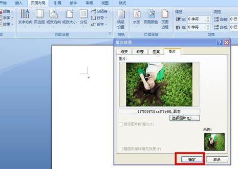 选择图片后点击“插入”按钮