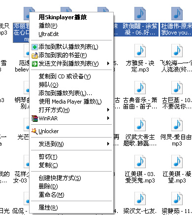 影音文件用skinplayer播放
