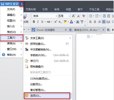 wps选项