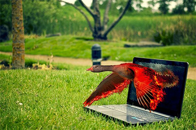 Photoshop