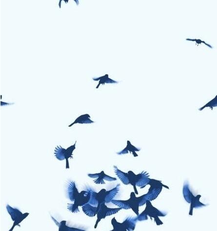 美图秀秀选择第二张图片