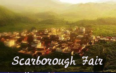 Scarborough Fair吉他谱-Paul Simon六线谱原版-吉他谱C调斯卡布罗集市弹唱伴奏谱